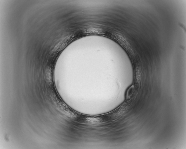 X0000102250457200808151821