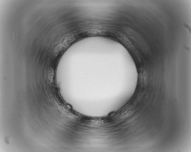 X0000102250458200808151821