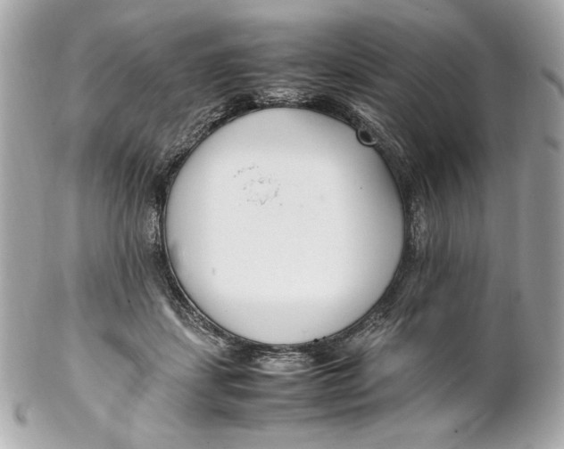 X0000102250459200808151821