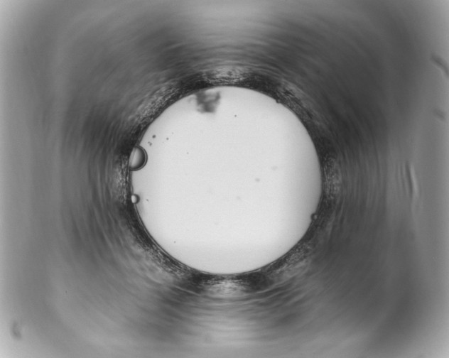 X0000102250460200808151821