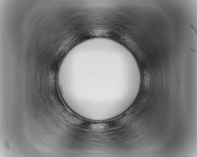 X0000102250461200808151821