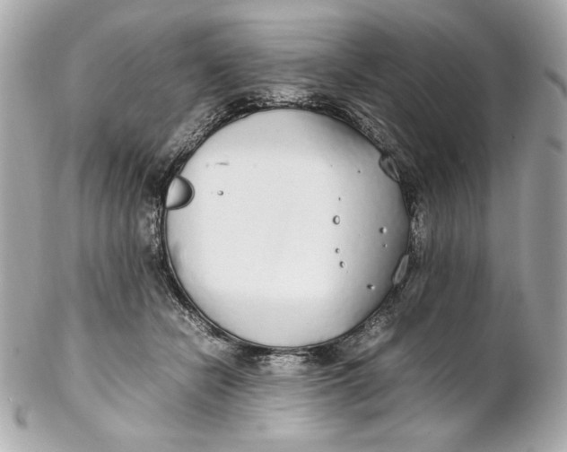 X0000102250462200808151821