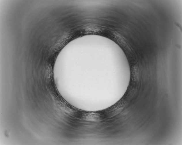 X0000102250463200808151821