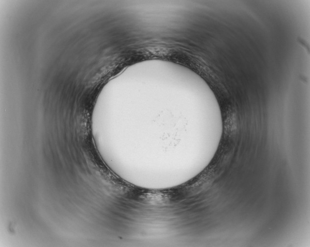 X0000102250464200808151821