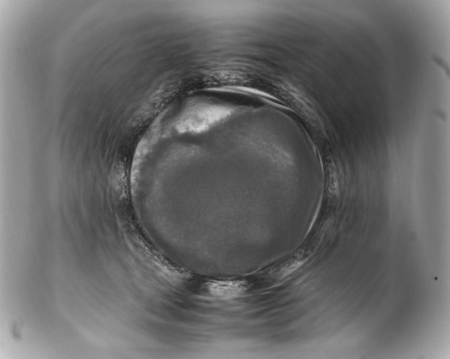 X0000102250465200808151821