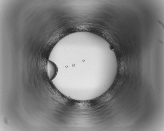 X0000102250466200808151821