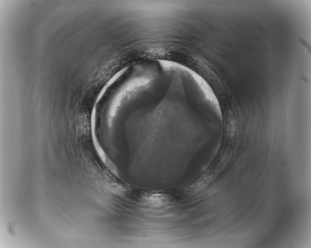 X0000102250467200808151821