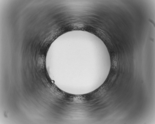 X0000102250468200808151821