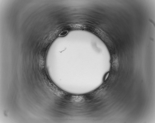 X0000102250469200808151821