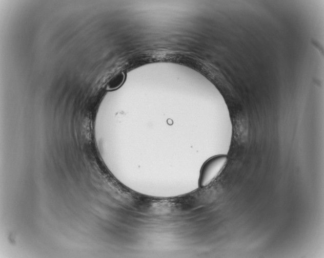 X0000102250470200808151821