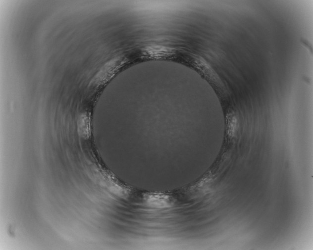 X0000102250471200808151821