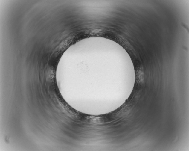 X0000102250472200808151821