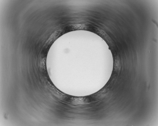 X0000102250473200808151821