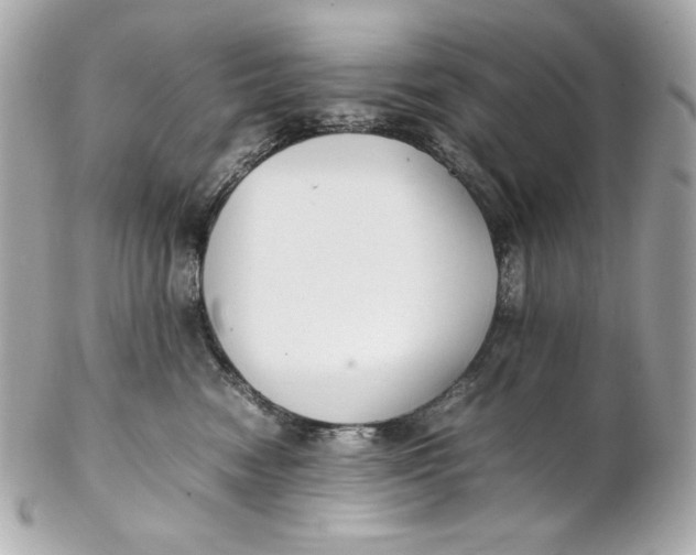 X0000102250474200808151821