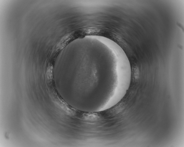 X0000102250475200808151821