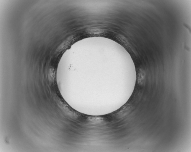 X0000102250476200808151821