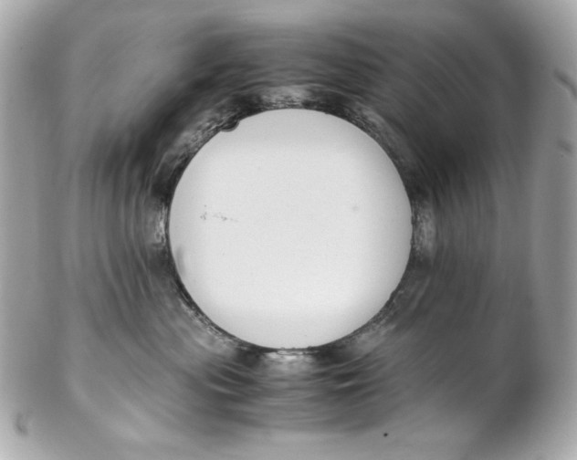 X0000102250477200808151821