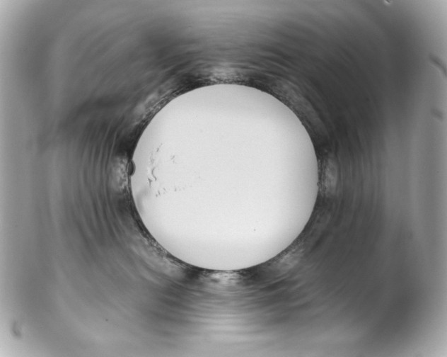 X0000102250478200808151821