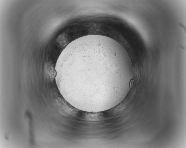 X0000102250479200808151821