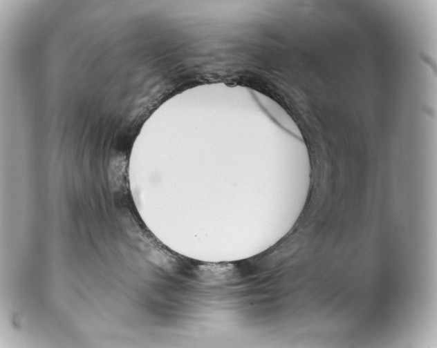 X0000102250480200808151821