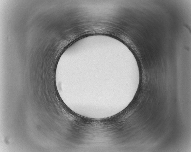 X0000102250481200808151821