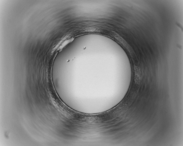 X0000102250482200808151821