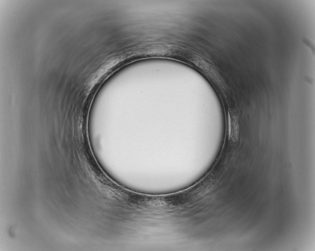 X0000102250483200808151821