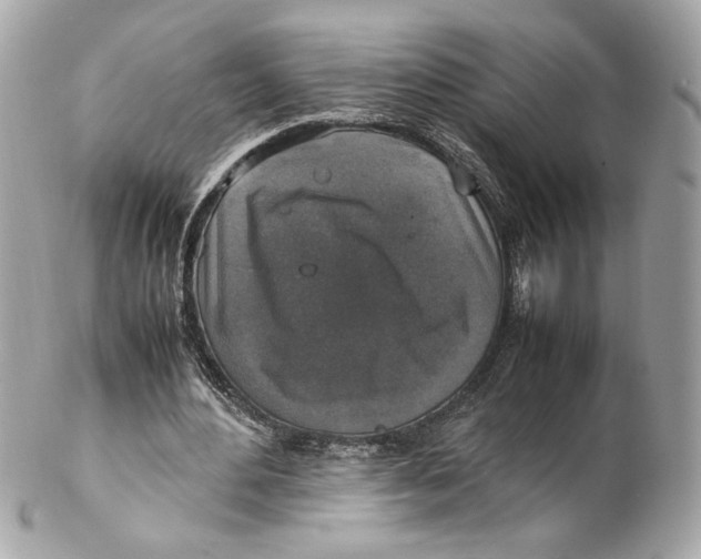 X0000102250484200808151820