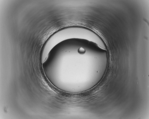 X0000102250485200808151820