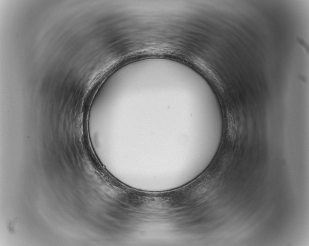 X0000102250486200808151820