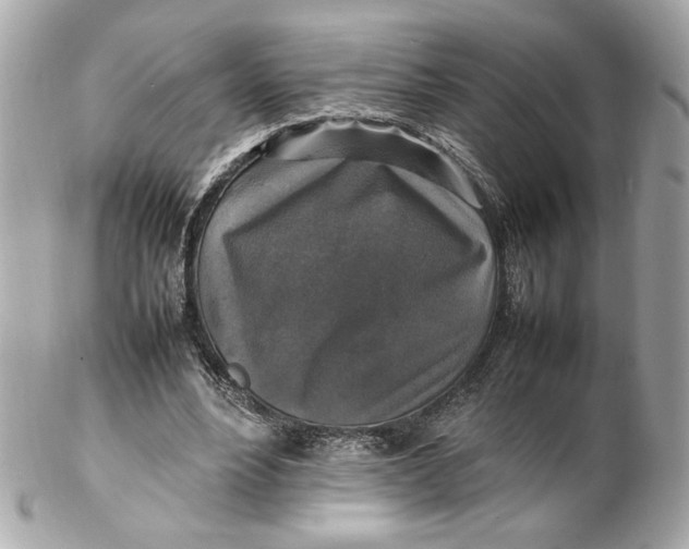 X0000102250488200808151820