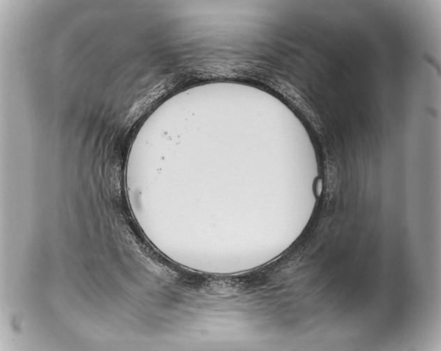 X0000102250489200808151820