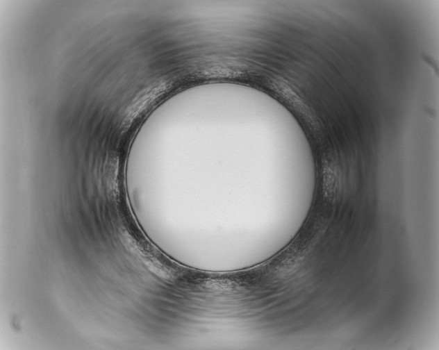 X0000102250490200808151820