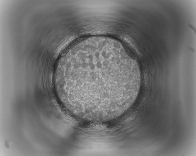 X0000102250491200808151820