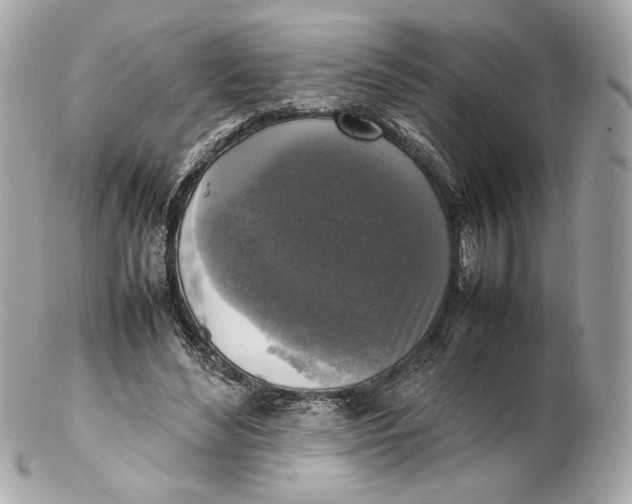 X0000102250492200808151820