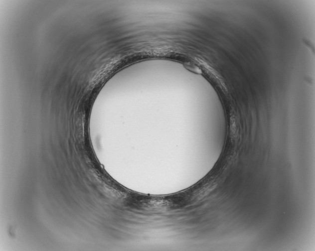 X0000102250493200808151820