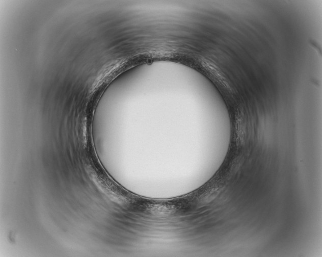 X0000102250494200808151820