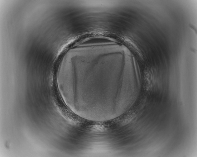 X0000102250496200808151820