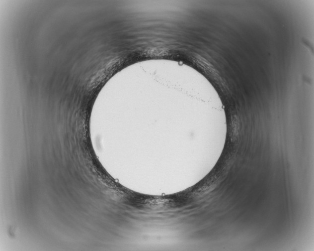 X0000102250497200808151820