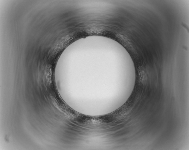 X0000102250498200808151820