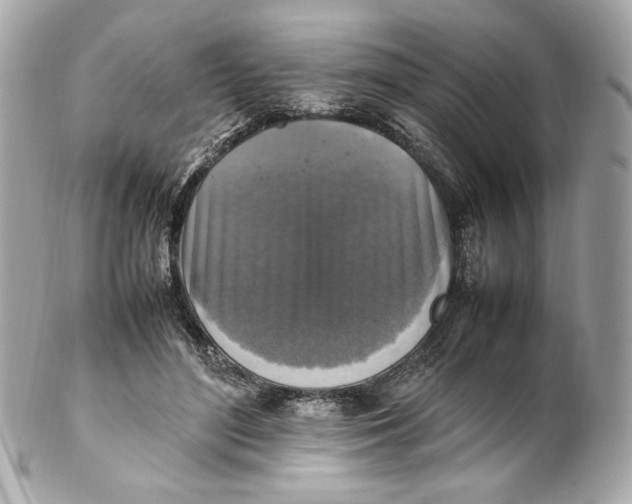 X0000102250500200808151820