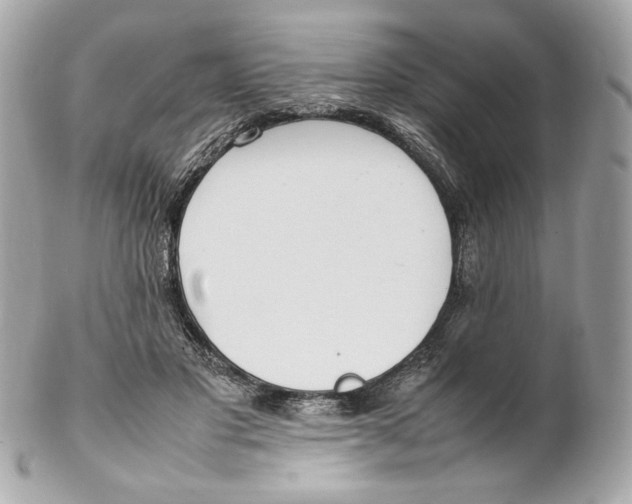 X0000102250501200808151820