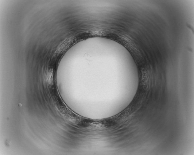 X0000102250502200808151820