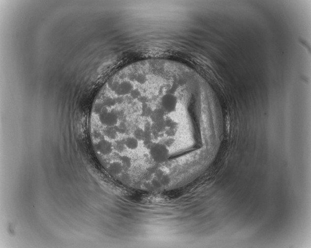 X0000102250503200808151820