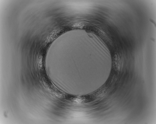 X0000102250504200808151820