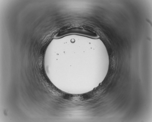 X0000102250505200808151820