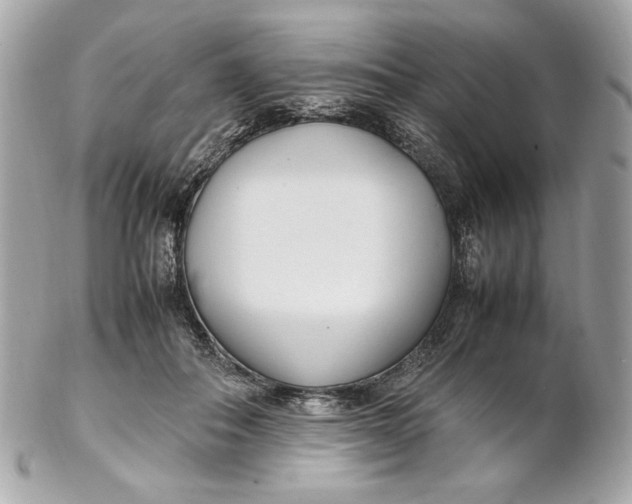 X0000102250506200808151820