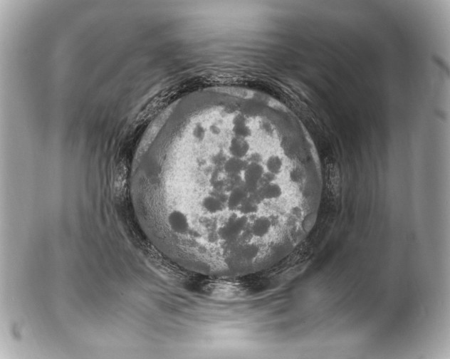 X0000102250507200808151820