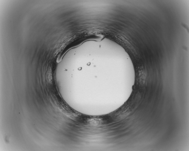 X0000102250508200808151820