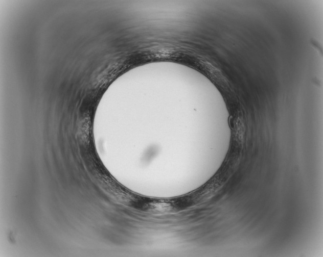 X0000102250509200808151820